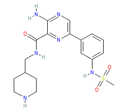2D structure of the orthosteric ligand