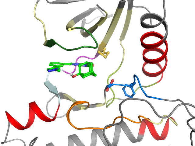 The orthosteric binding pocket