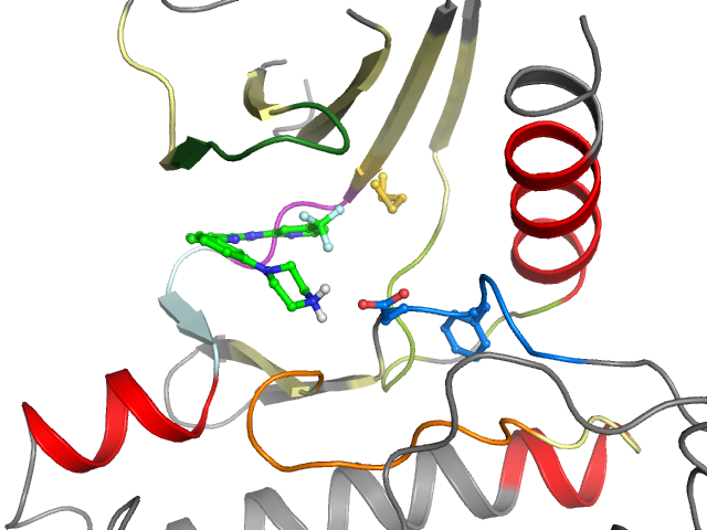 The orthosteric binding pocket