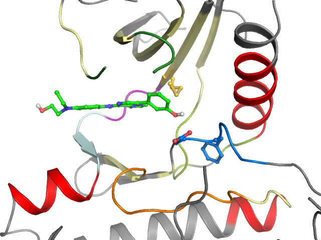 The orthosteric binding pocket