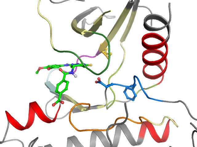 The orthosteric binding pocket