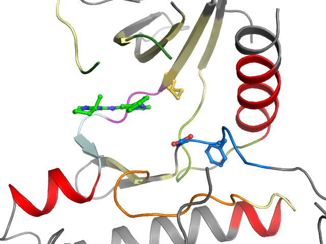 The orthosteric binding pocket