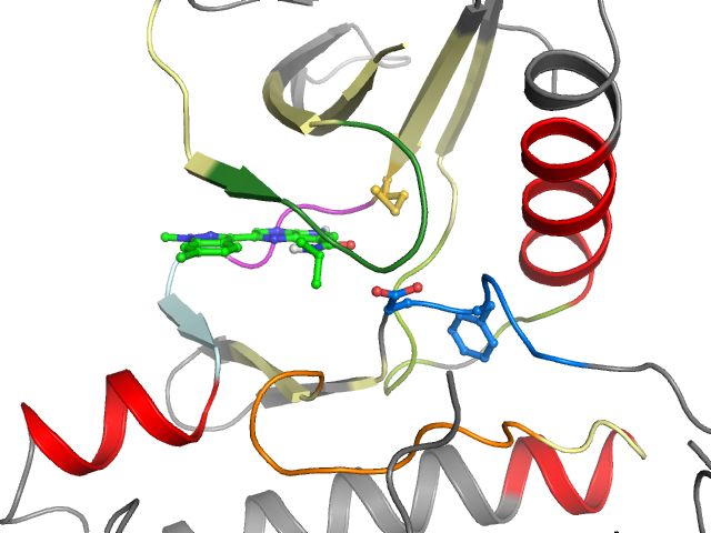 The orthosteric binding pocket