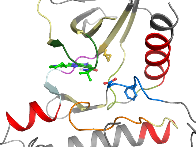 The orthosteric binding pocket