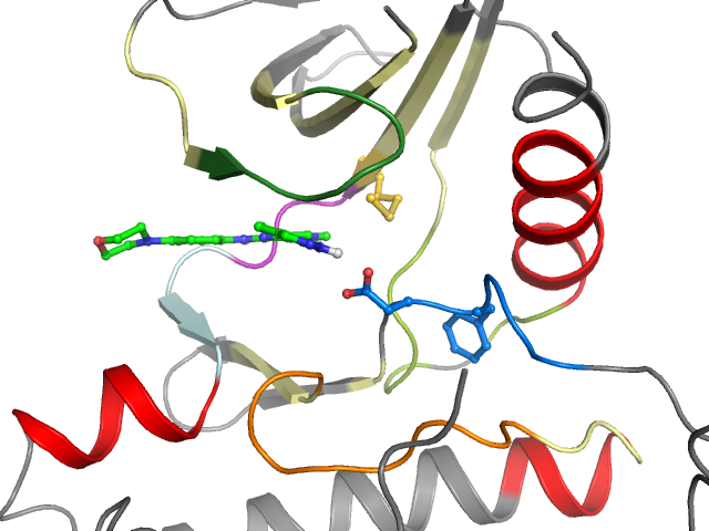 The orthosteric binding pocket