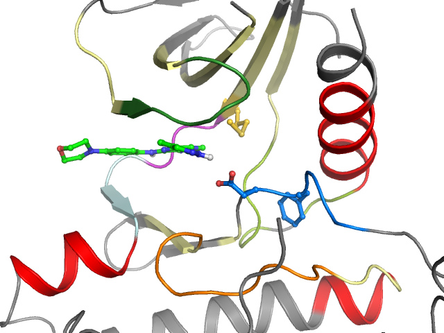 The orthosteric binding pocket