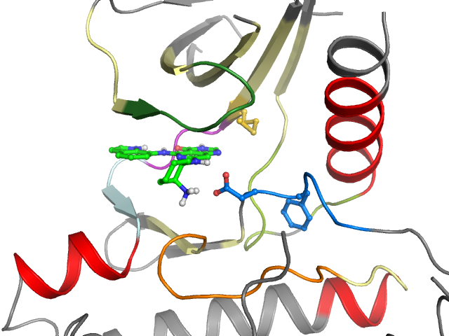 The orthosteric binding pocket