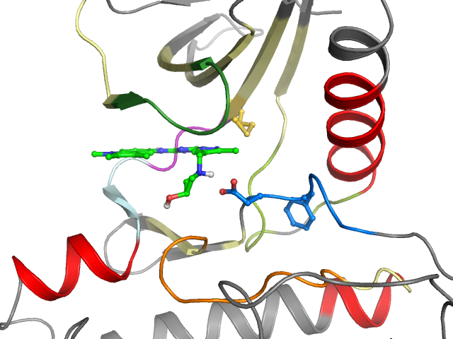 The orthosteric binding pocket
