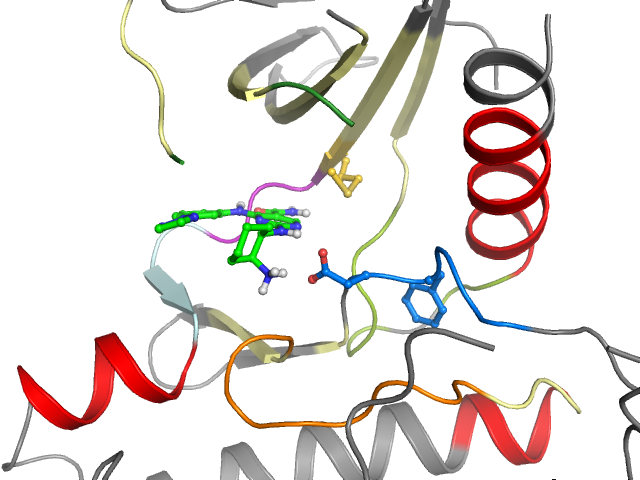 The orthosteric binding pocket