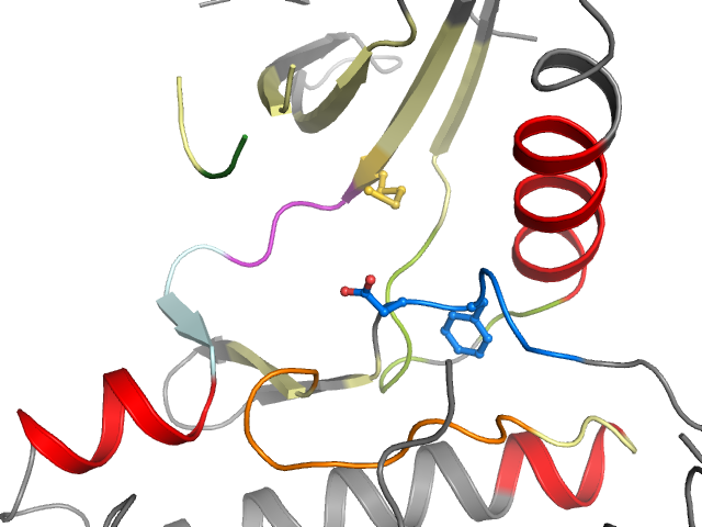 The orthosteric binding pocket