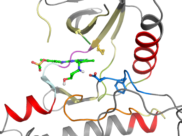The orthosteric binding pocket