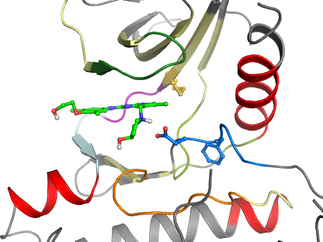 The orthosteric binding pocket
