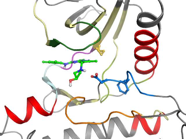 The orthosteric binding pocket