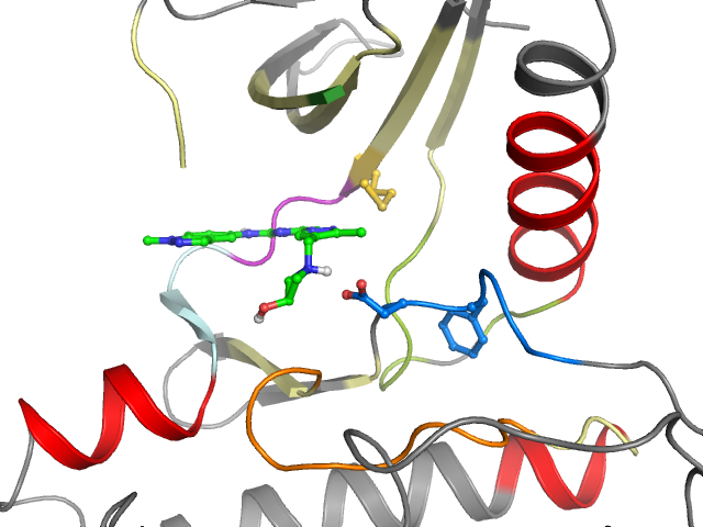 The orthosteric binding pocket