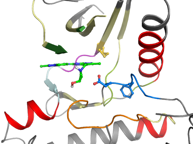 The orthosteric binding pocket