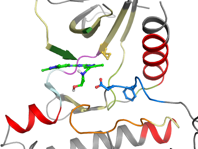 The orthosteric binding pocket