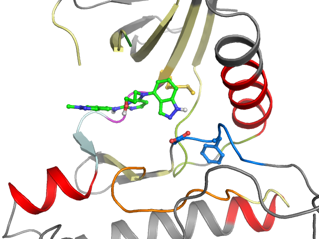 The orthosteric binding pocket