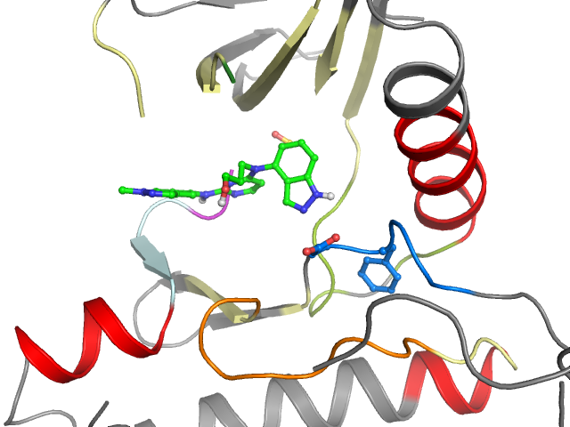 The orthosteric binding pocket