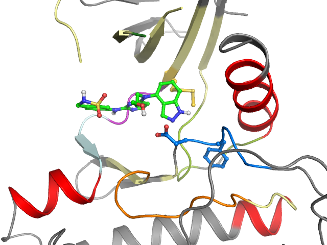 The orthosteric binding pocket