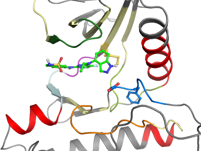 The orthosteric binding pocket
