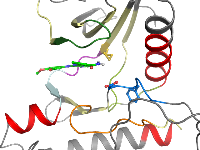 The orthosteric binding pocket