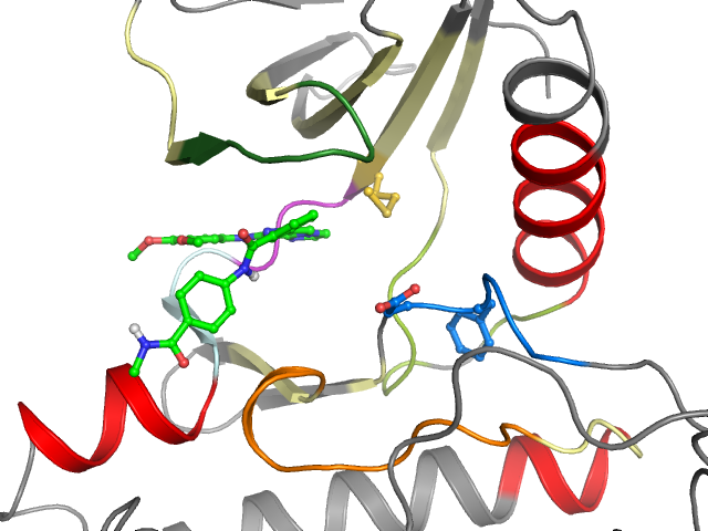 The orthosteric binding pocket