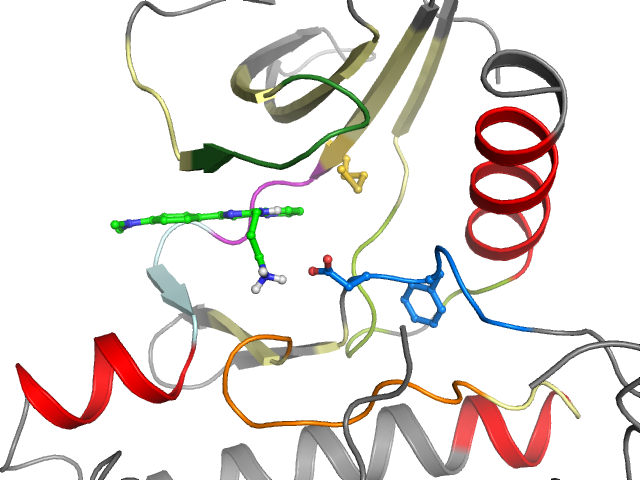 The orthosteric binding pocket