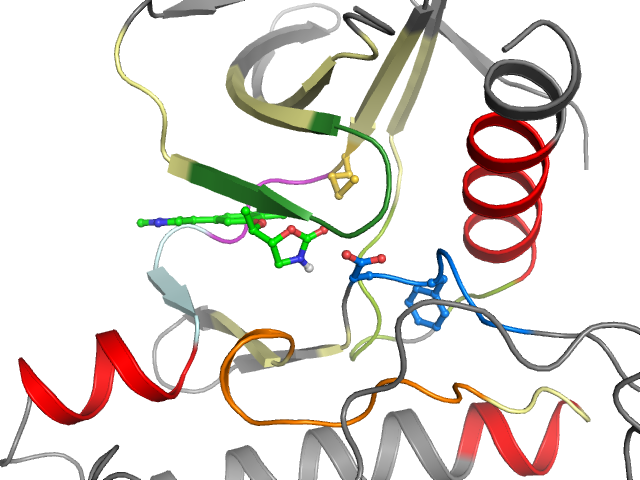 The orthosteric binding pocket