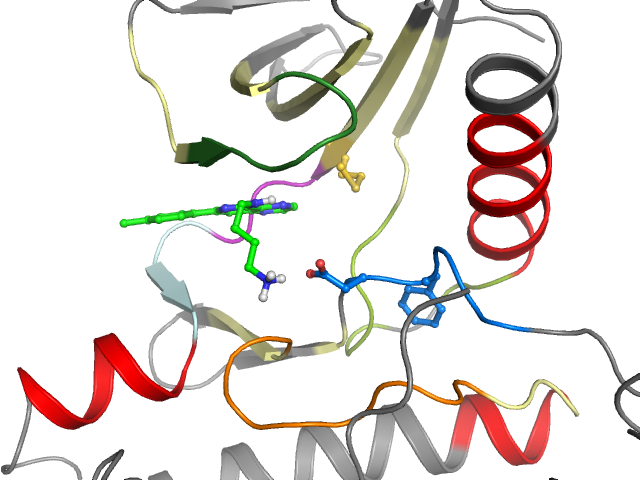 The orthosteric binding pocket