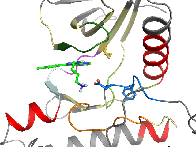 The orthosteric binding pocket