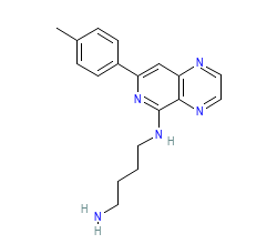 2D structure of the orthosteric ligand