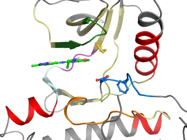 The orthosteric binding pocket