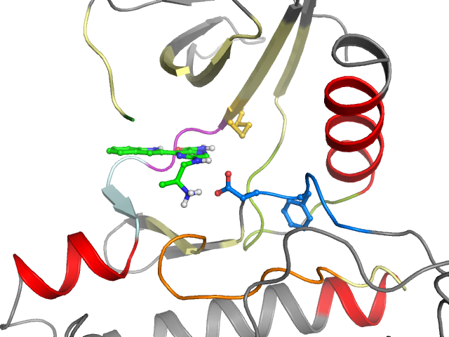 The orthosteric binding pocket