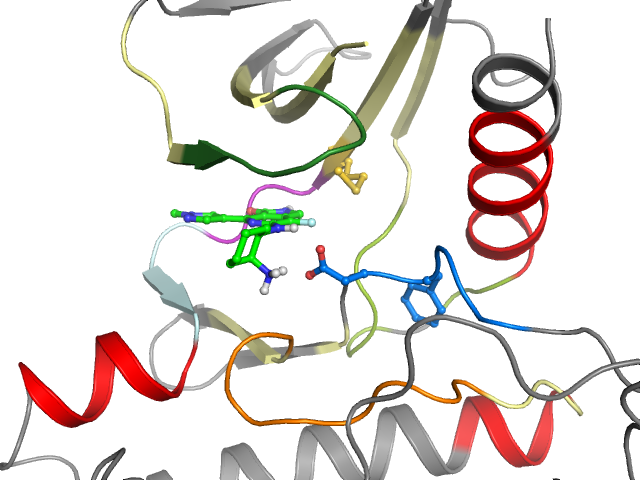 The orthosteric binding pocket