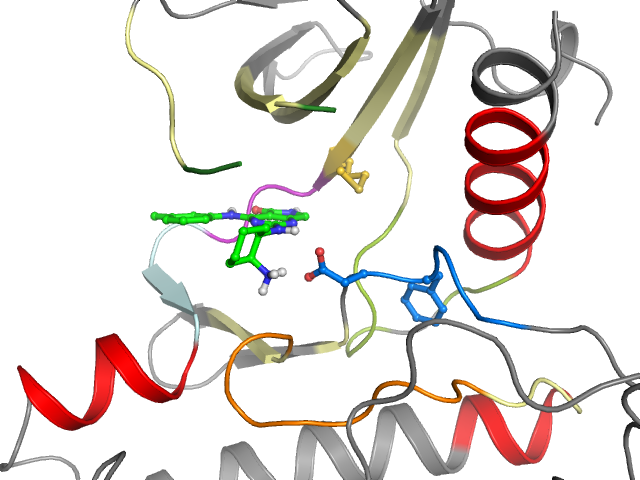 The orthosteric binding pocket