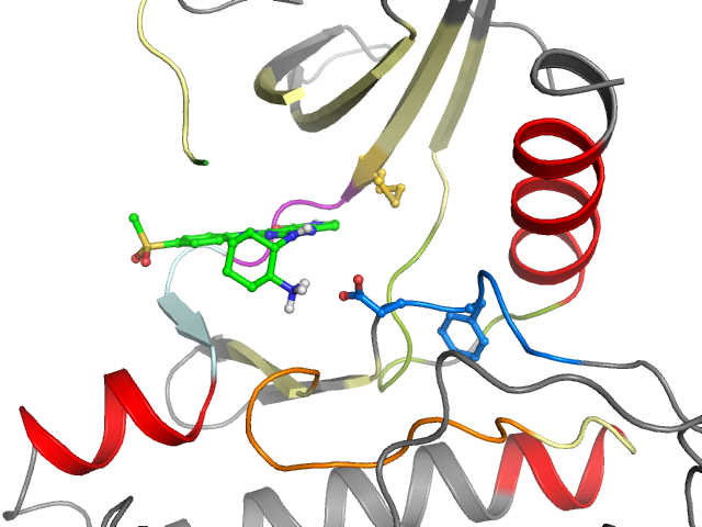The orthosteric binding pocket