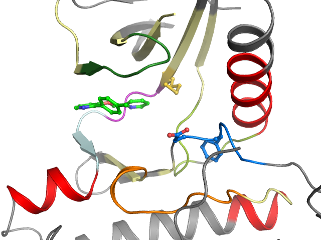 The orthosteric binding pocket