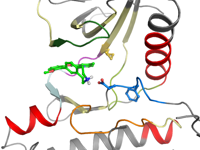 The orthosteric binding pocket