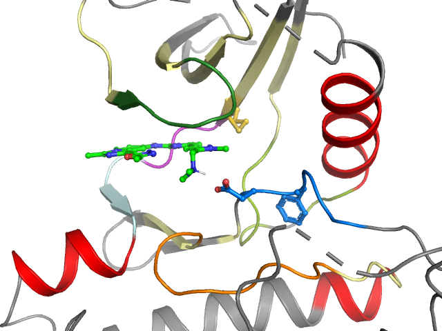 The orthosteric binding pocket