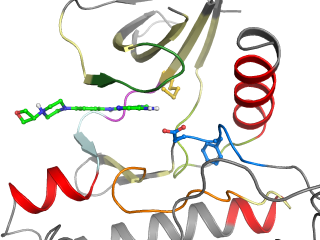The orthosteric binding pocket