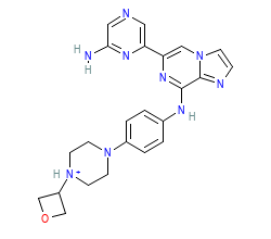 2D structure of the orthosteric ligand