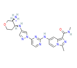 2D structure of the orthosteric ligand