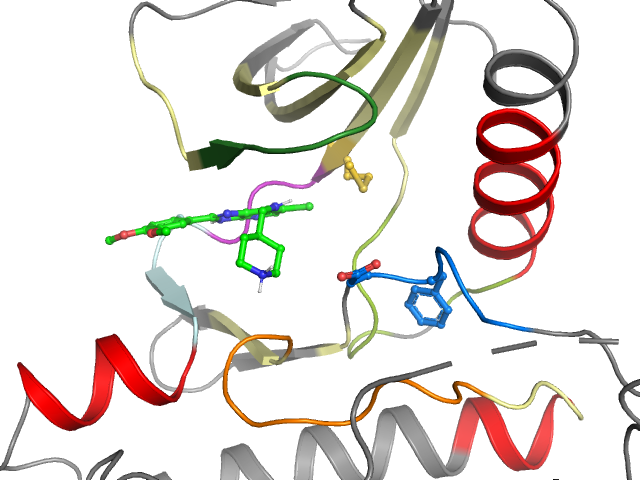 The orthosteric binding pocket