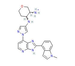 2D structure of the orthosteric ligand