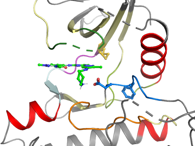 The orthosteric binding pocket