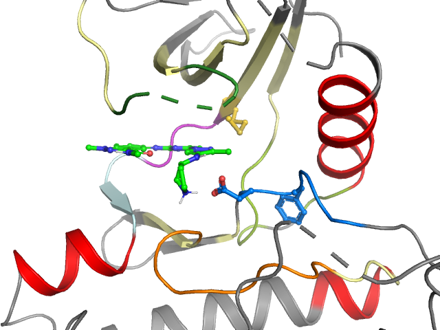 The orthosteric binding pocket
