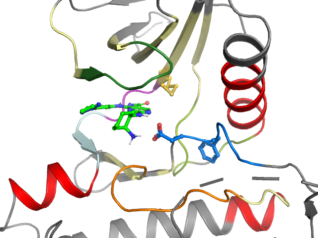The orthosteric binding pocket