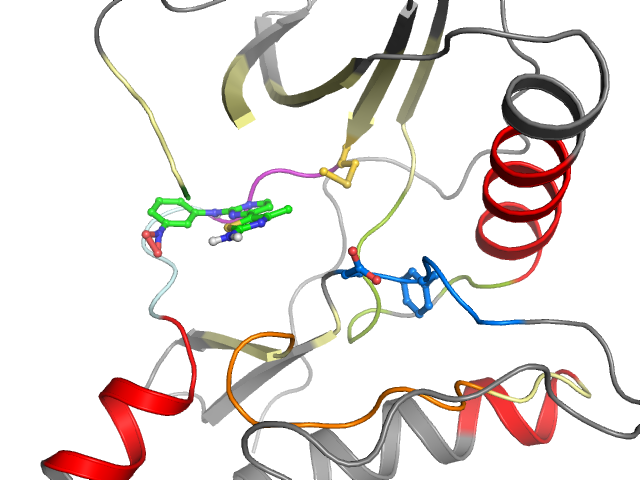 The orthosteric binding pocket