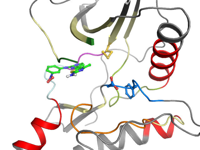 The orthosteric binding pocket