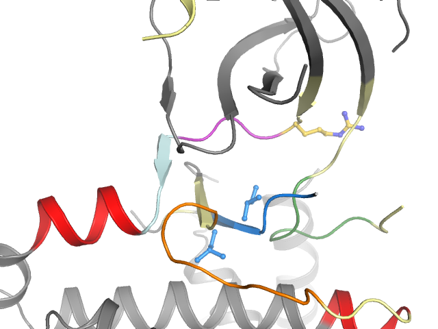 The orthosteric binding pocket